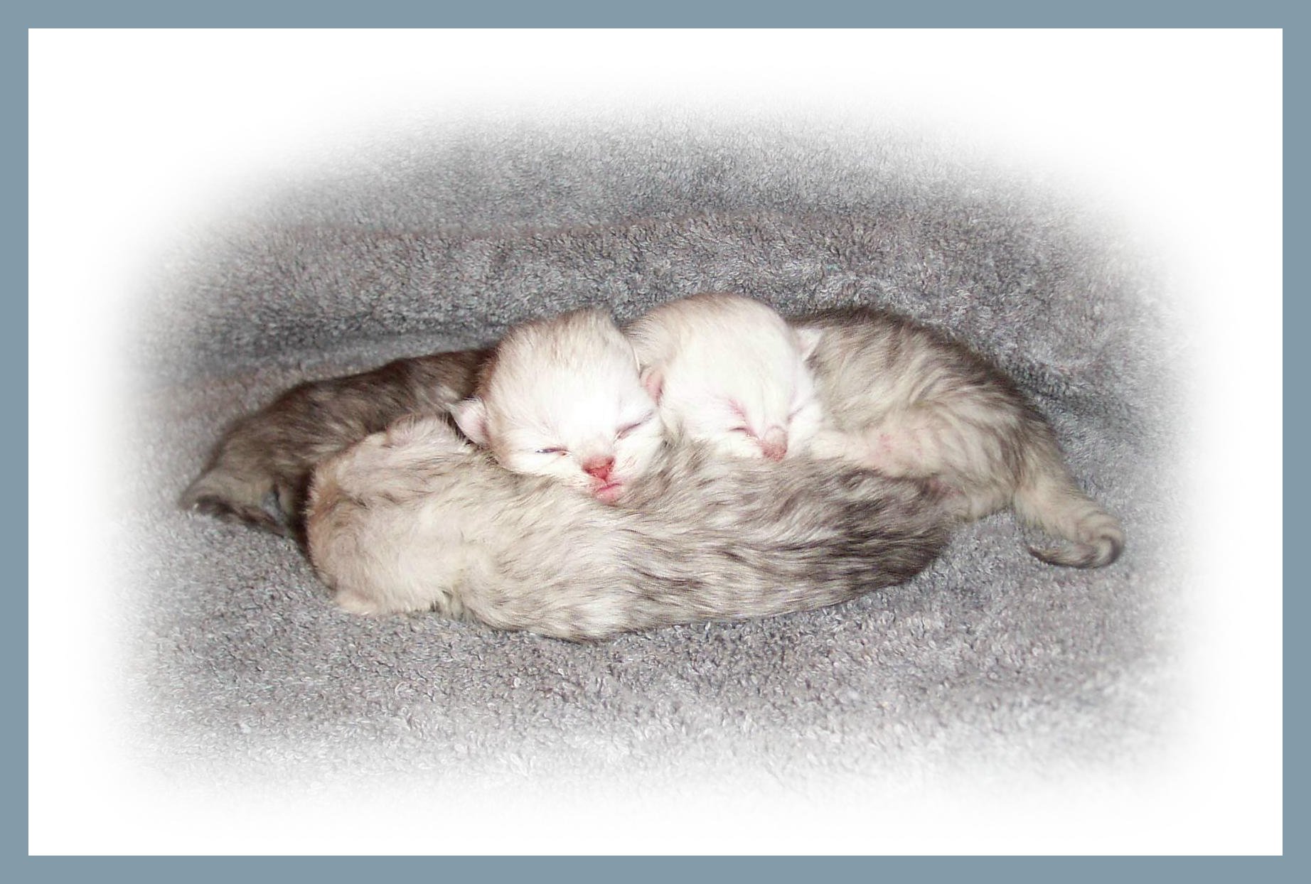 Born April 9th
