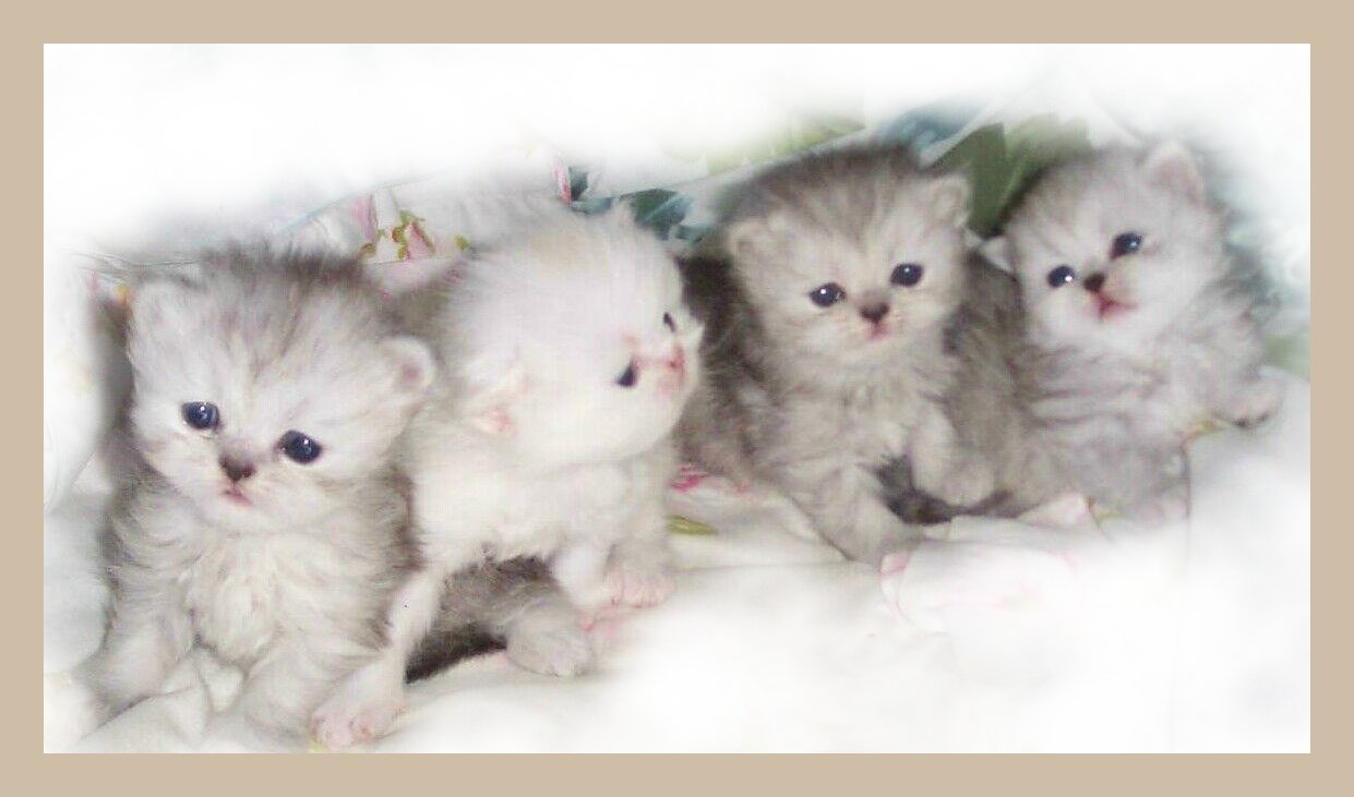 Look at us !! 3 + Wks of age..