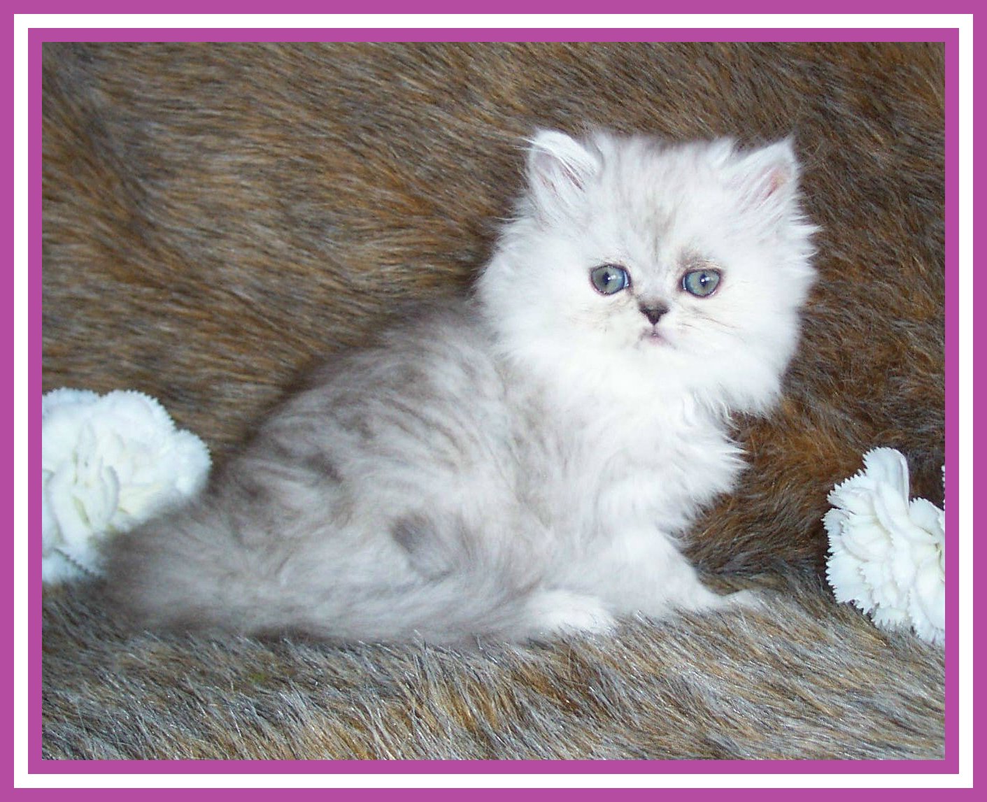 Baby Covey-7 weeks