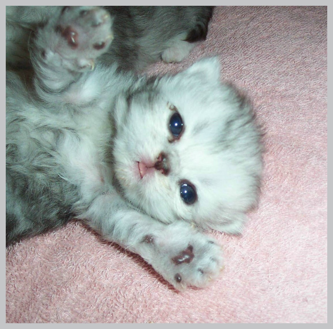 Baby Girl C! 2 wks