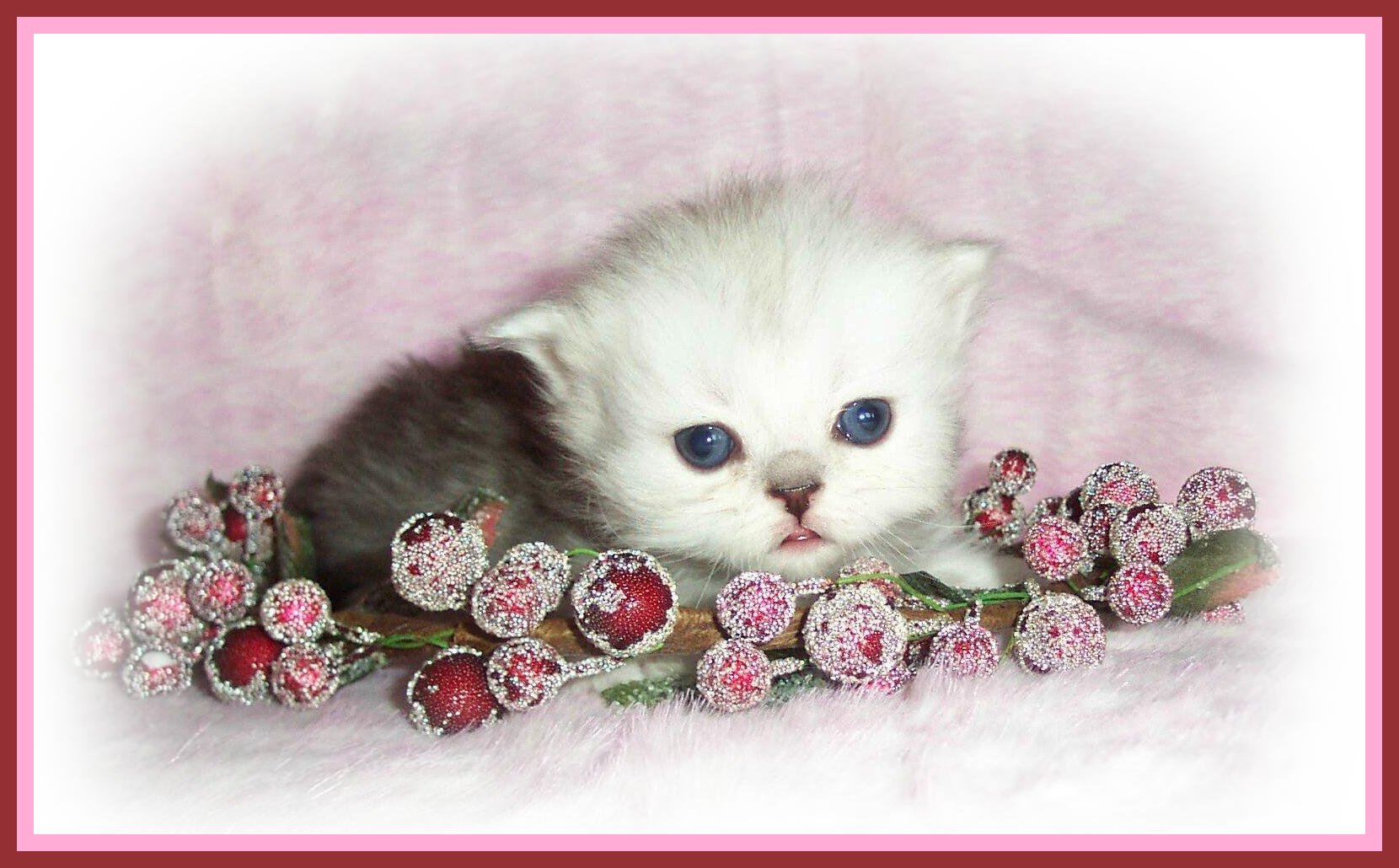Baby Girl B- 3wks 