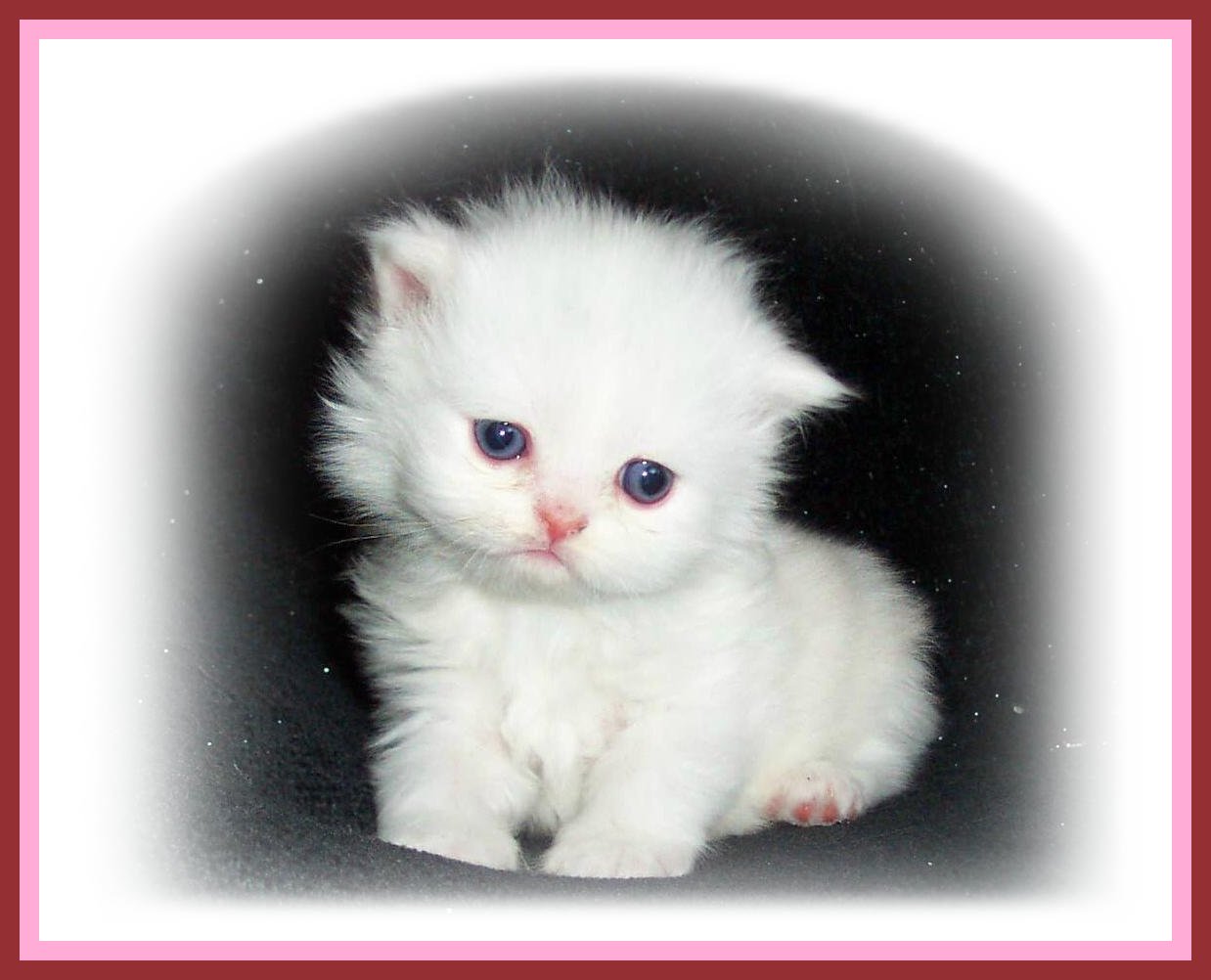 Baby Rowan-3wks