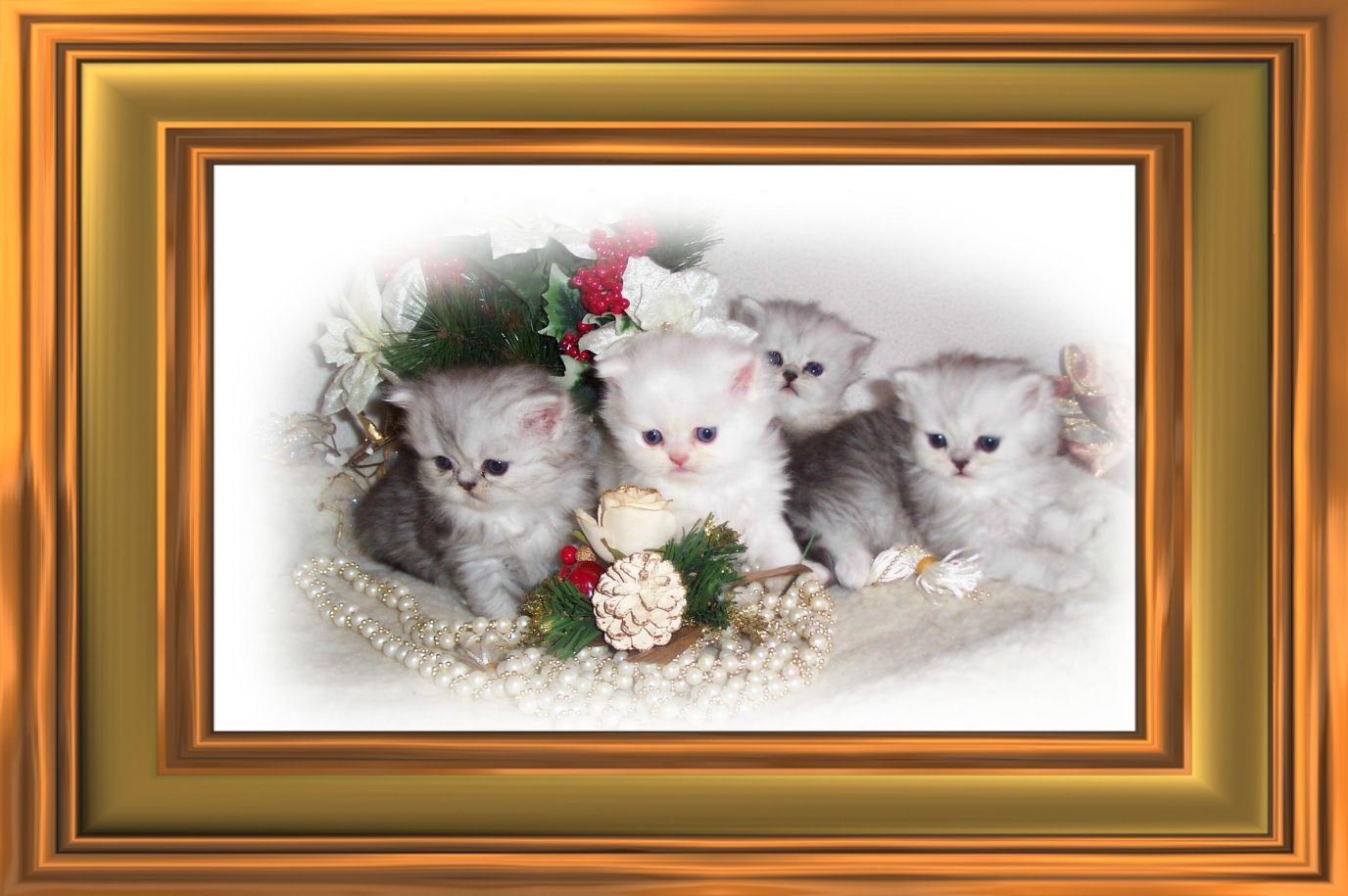 Three Weeks Now.! Merry Christmas.!
