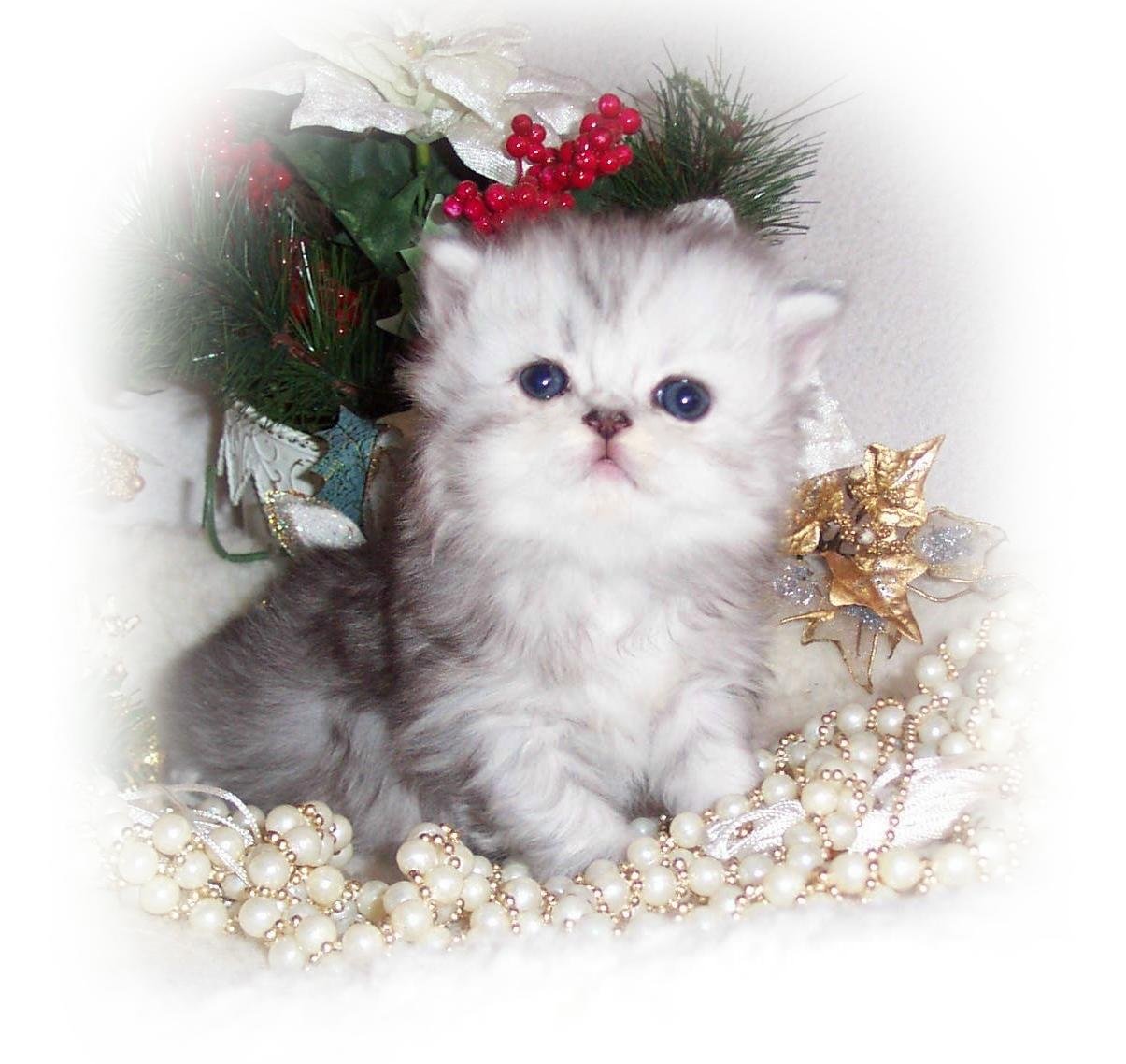 BabyGirlA-3wks