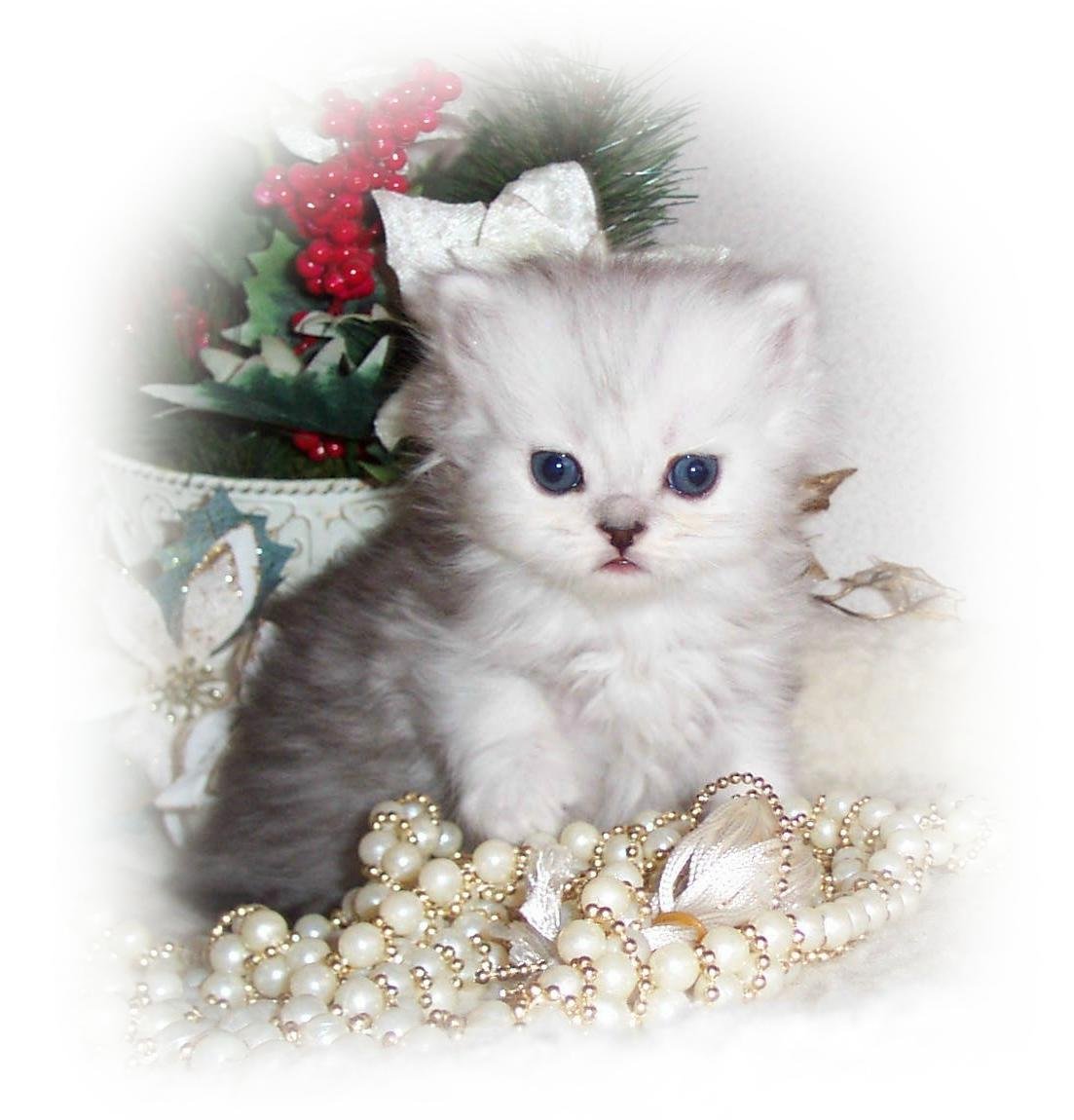BabyGirlB-3wks