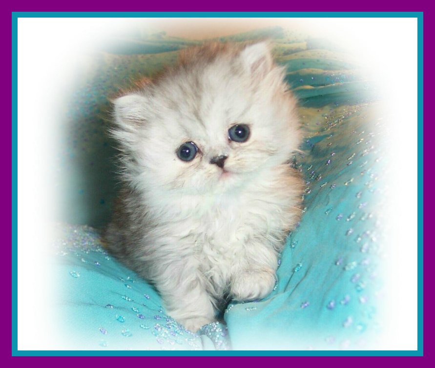 CoveyBaby-5wks
