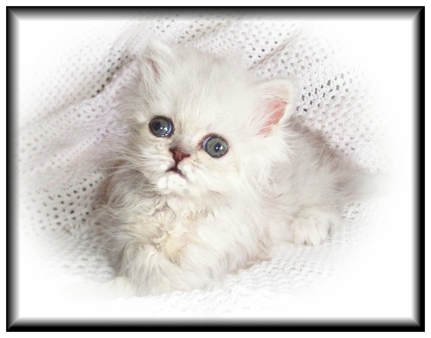 Mickey-5wks
