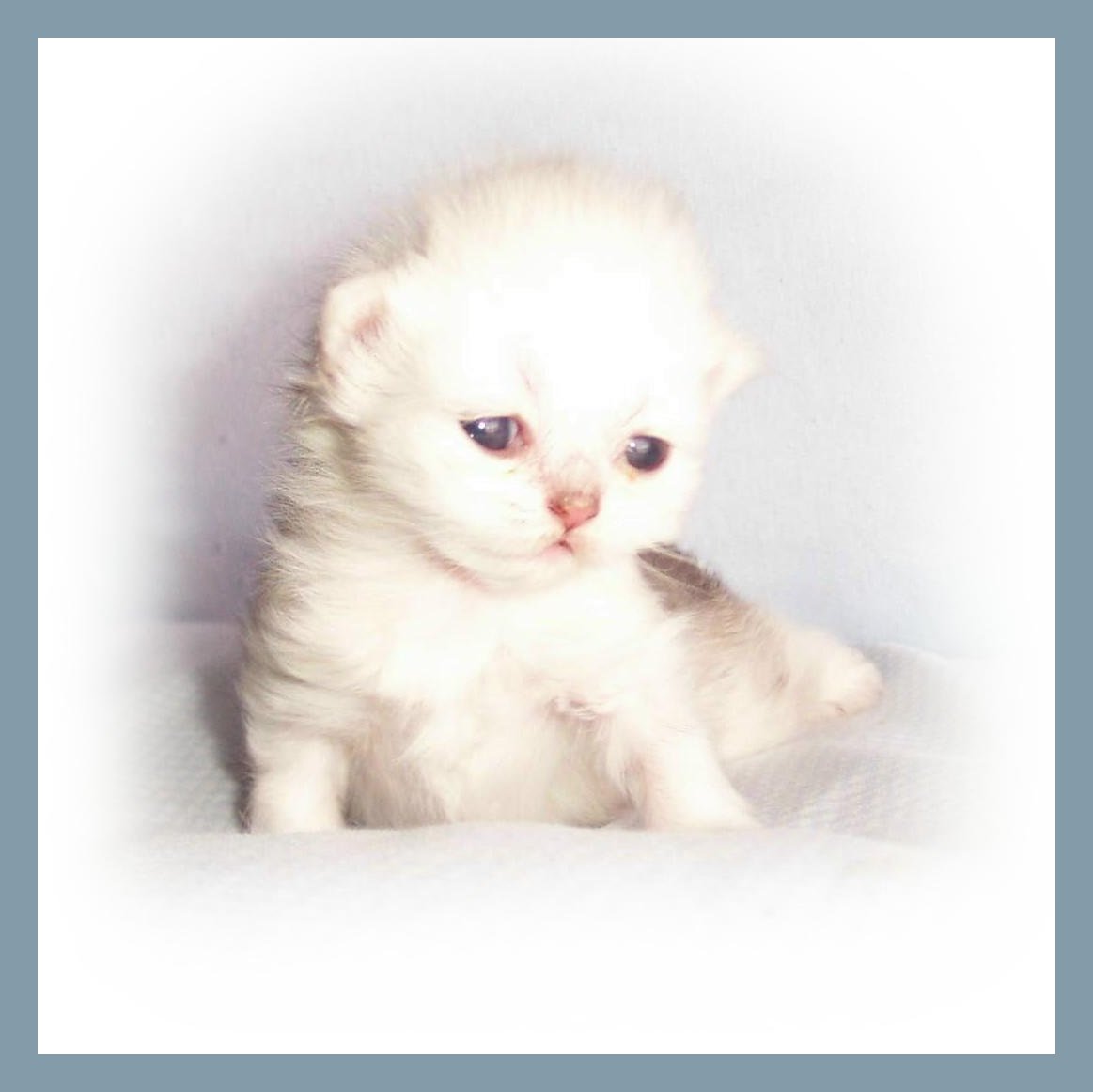 Baby Boy 2