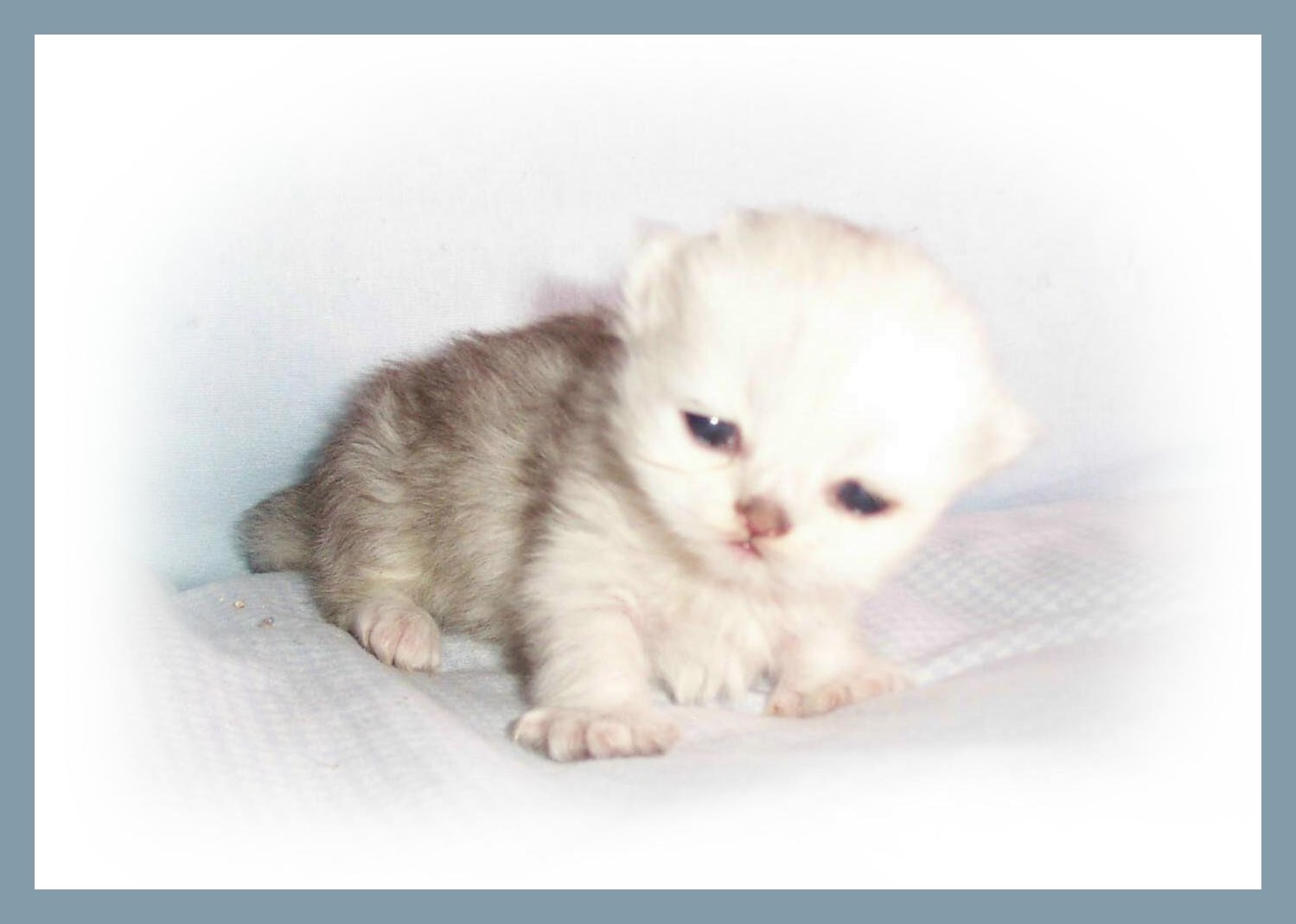 Baby Boy 2