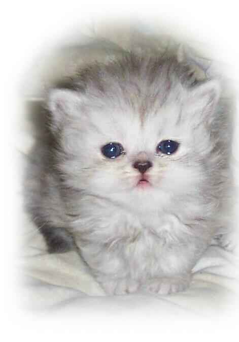 GirlB=3wks