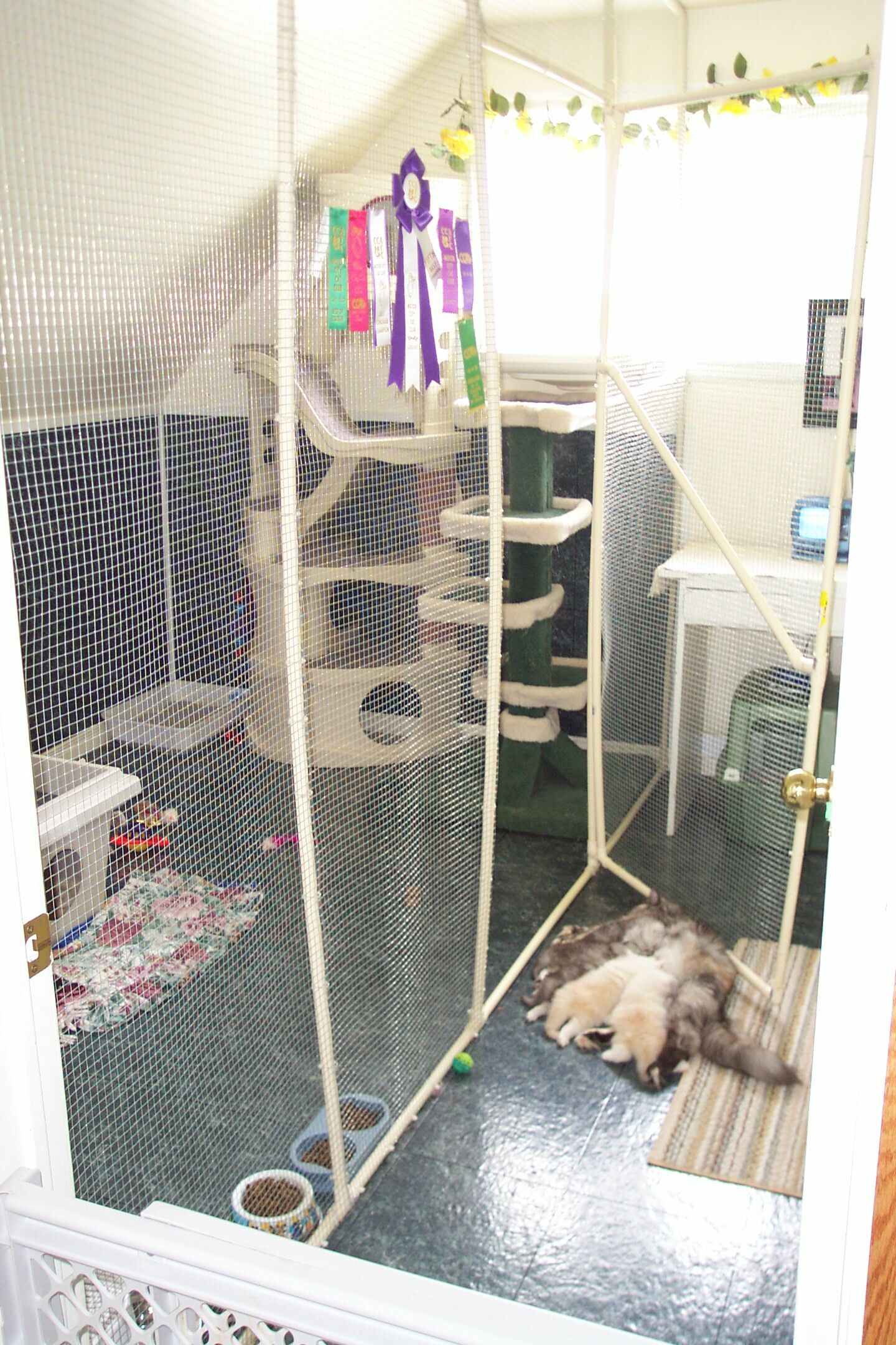 One of the nursery areas for Mum & babes to sleep at night.