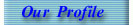 Company Profile 