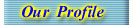 Company Profile 