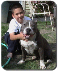Son and BlackJack