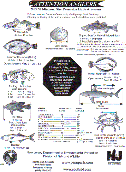 Fishing Regulations