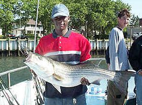 27 lbs. Striped Bass