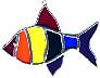 FISH RAINBOW