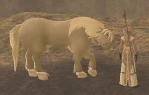 Eldarian Steed