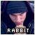 Rabbit Fan