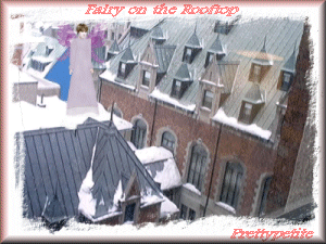 fairyrooftop