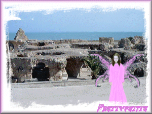 fairysea