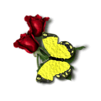 rosefly