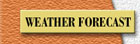 weathbut.jpg (10102 bytes)