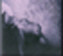 Paint 23