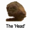 Head