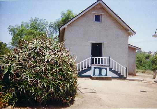 Guajome aloe