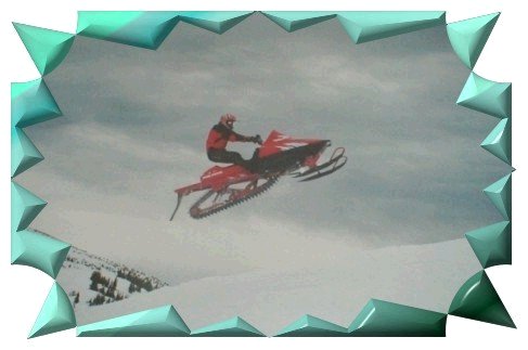 Vinny Flies!