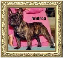 andrea.jpg (19003 bytes)