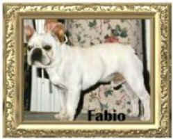 fabio.jpg (13125 bytes)