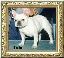 lulu.jpg (18474 bytes)