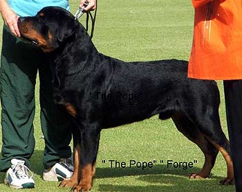WCRC Champ Show 2005