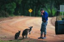 Wine & Wildlife from �599