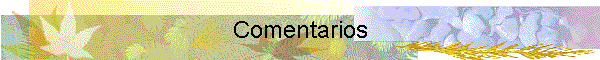 Comentarios