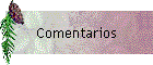 Comentarios