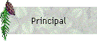 Principal