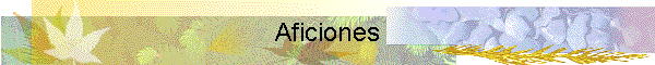Aficiones