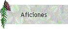 Aficiones