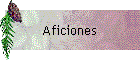 Aficiones