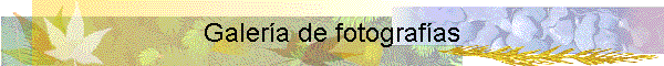 Galer�a de fotograf�as