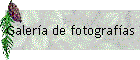 Galer�a de fotograf�as