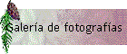 Galer�a de fotograf�as