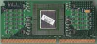 celeron
