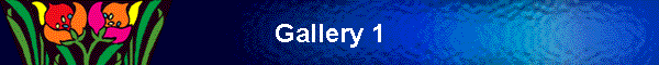 Gallery 1