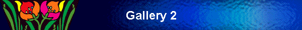 Gallery 2