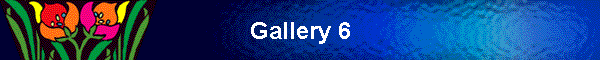 Gallery 6