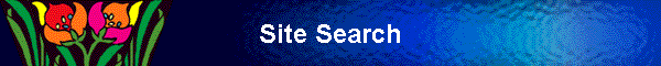 Site Search
